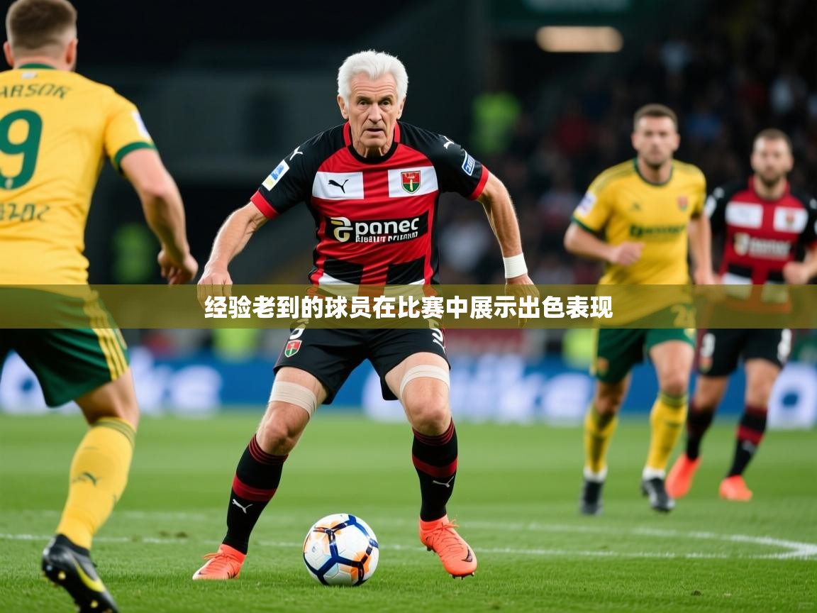 2025 体育资讯 欧宝体育下载经验老到的球员在比赛中展示出色表现  第3张