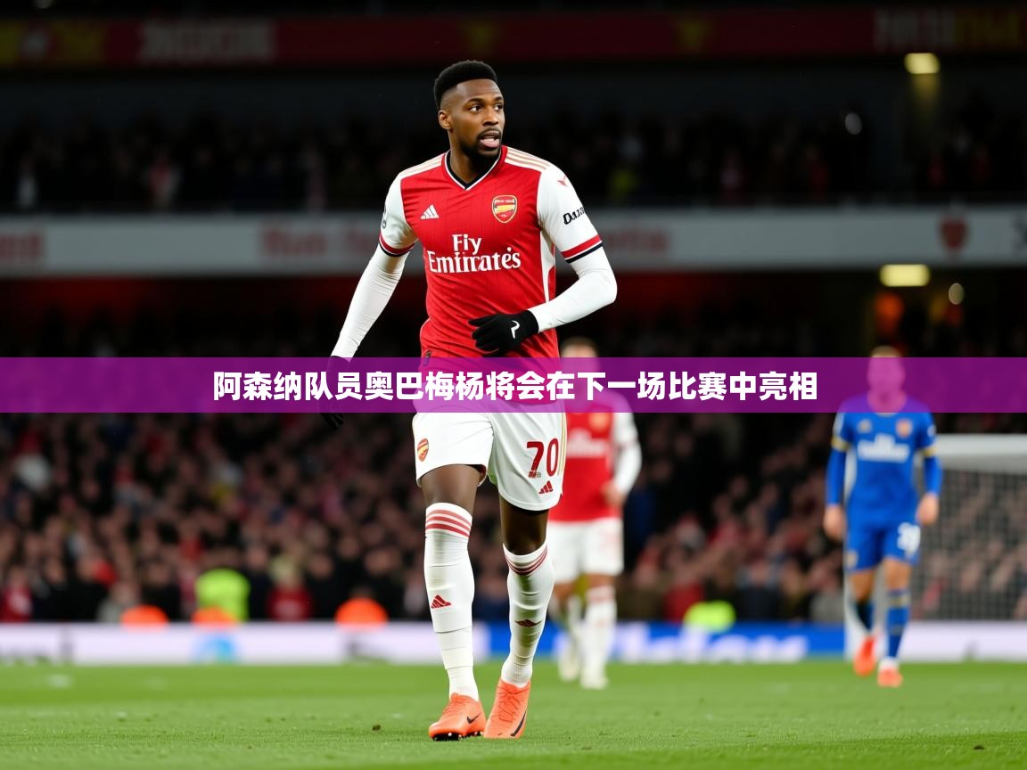 2025 中国足球 欧宝体育app阿森纳队员奥巴梅杨将会在下一场比赛中亮相 第2张