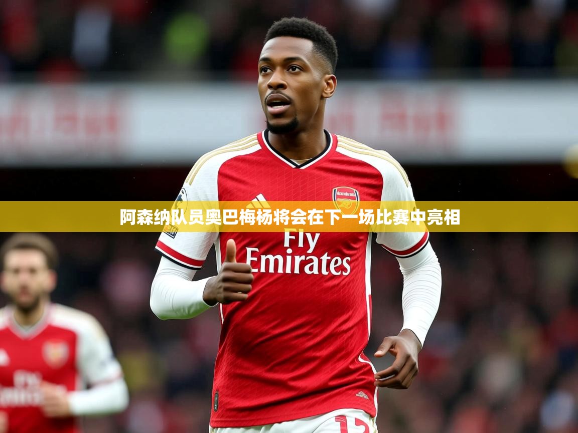 2025 中国足球 欧宝体育app阿森纳队员奥巴梅杨将会在下一场比赛中亮相 第4张