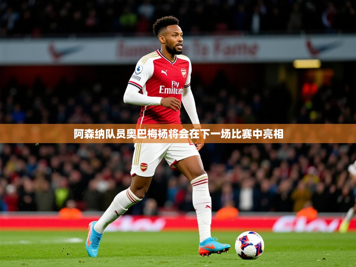 2025 中国足球 欧宝体育app阿森纳队员奥巴梅杨将会在下一场比赛中亮相 第3张