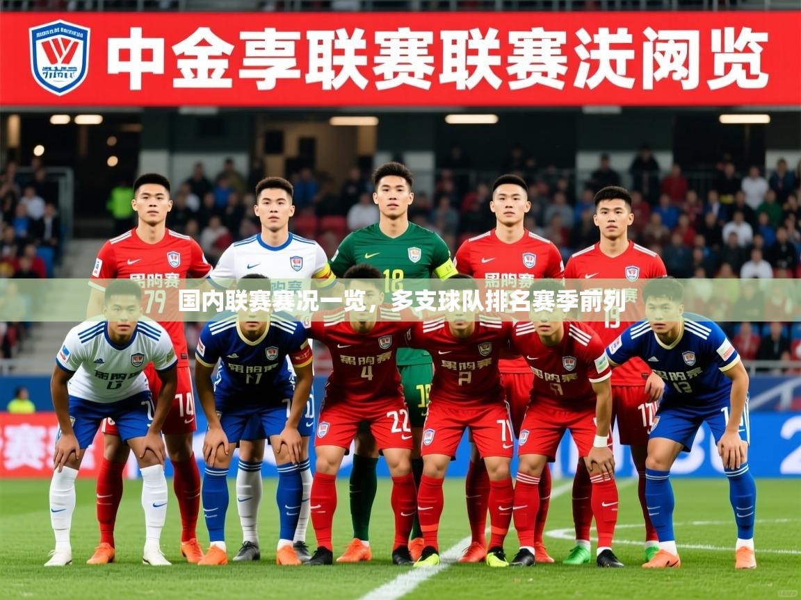 2025 中国足球 欧宝体育平台优惠国内联赛赛况一览，多支球队排名赛季前列  第2张